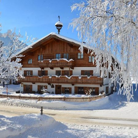Kleintoedlinggut Villa Leogang Kültér fotó