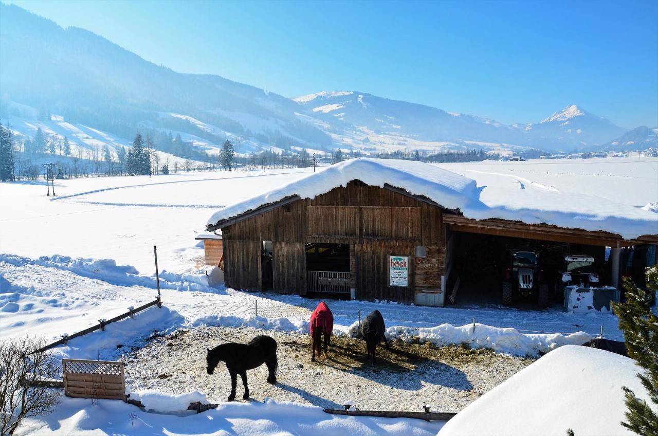 Kleintoedlinggut Villa Leogang Kültér fotó