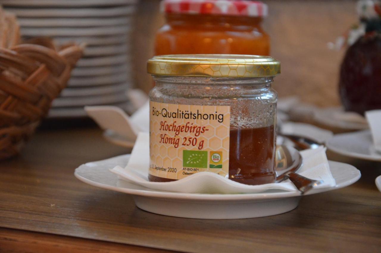 Kleintoedlinggut Villa Leogang Kültér fotó
