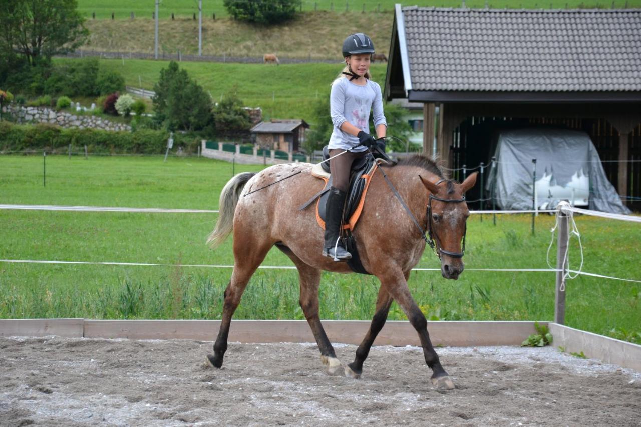 Kleintoedlinggut Villa Leogang Kültér fotó