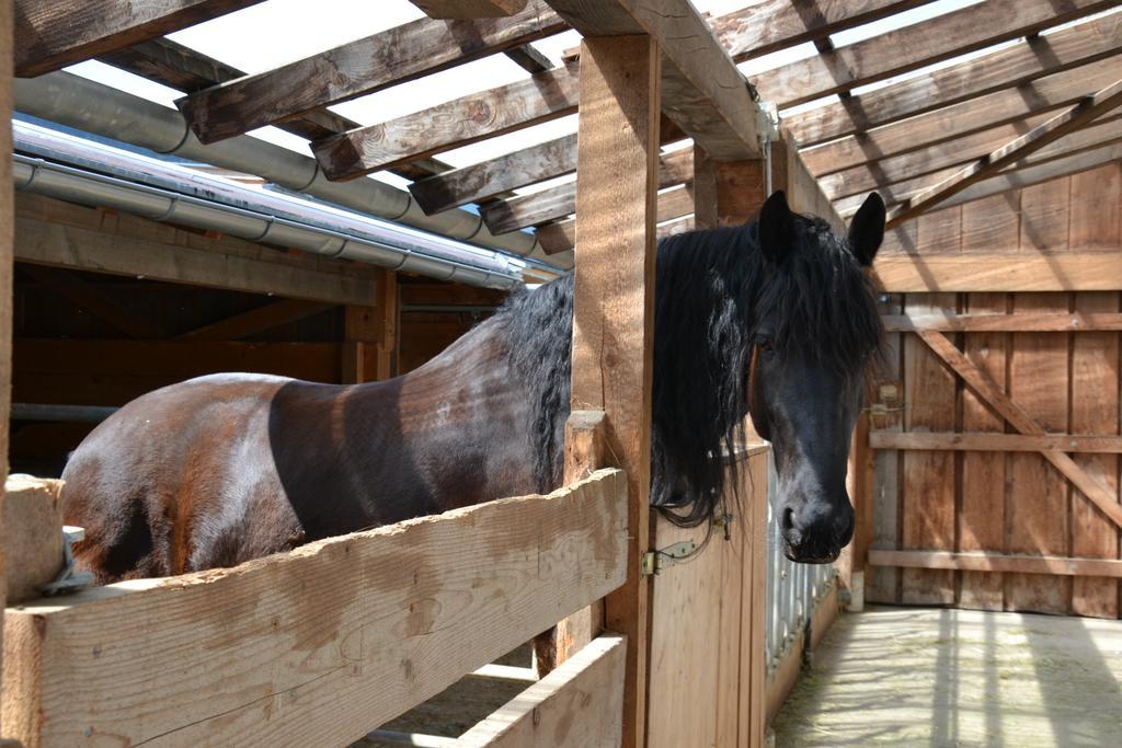 Kleintoedlinggut Villa Leogang Kültér fotó