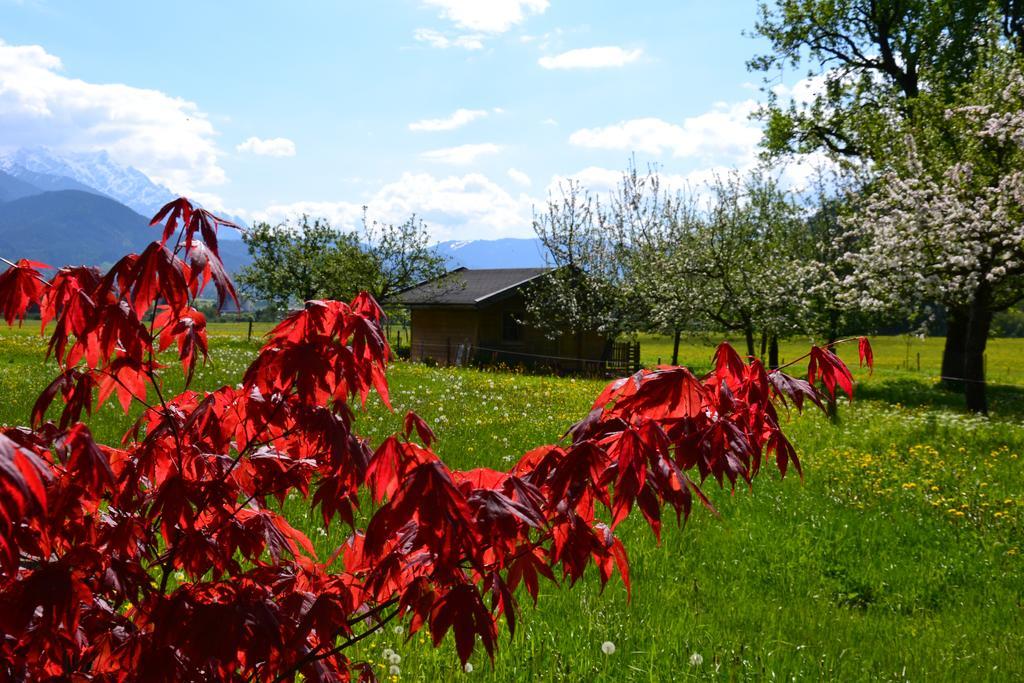 Kleintoedlinggut Villa Leogang Kültér fotó